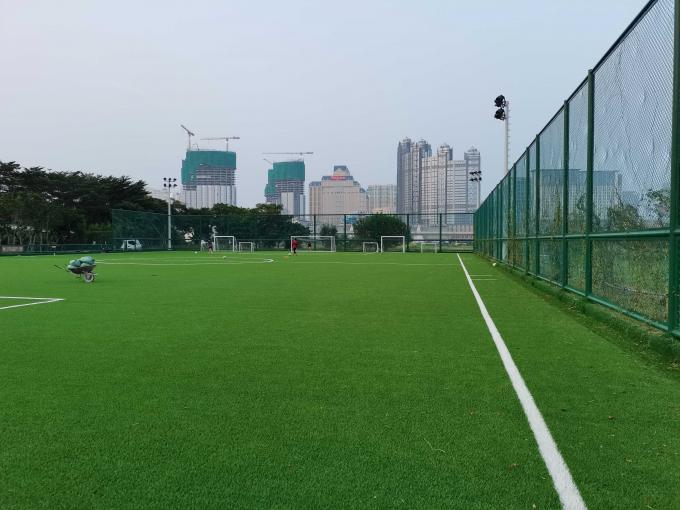 Sports artificiels d'herbe du football professionnel parquetant pour le football 0