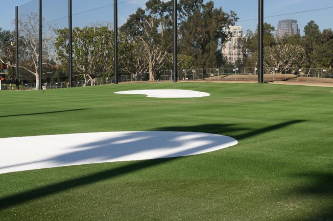 Gazon de golf tapisser l'herbe artificielle 13mm pour l'herbe artificielle de golf d'herbe d'utilisation multi 0