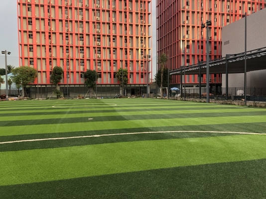 LA CHINE rigidité de Detex 11000 artificiels d'herbe du football de synthétique de 55mm bonne fournisseur
