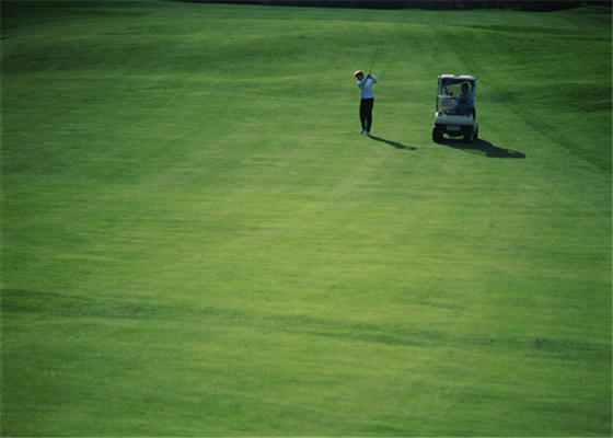 LA CHINE Puttings greens extérieurs de golf à l'abrasion de résistance de golf d'herbe de maison artificielle élevée de tapis fournisseur