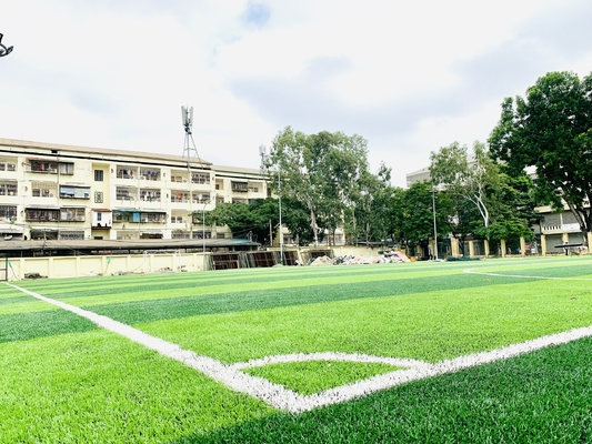 LA CHINE herbe de tapis synthétique d'herbe de 65mm Cesped du football de gazon de Synthet du football artificiel de gazon fournisseur