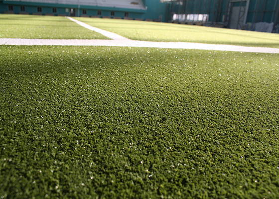 LA CHINE L'hockey bouclé de plancher de sport a coloré l'herbe de tapis artificielle de faux de gazon fournisseur