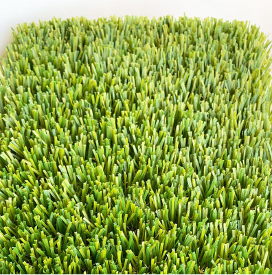 LA CHINE Herbe artificielle de jardin jaune vert clair de fétuque avec le revêtement de latex de SBR fournisseur