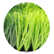 herbe synthétique d'herbe de taille de 55mm du football artificiel de gazon résistante à l'usure fournisseur