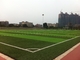 Herbe synthétique de terrain de jeu vert du football, fausse herbe de terrain de jeu pour l'extérieur fournisseur