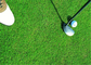Herbe artificielle de golf sain, espoir synthétique de longue durée de gazon de golf fournisseur
