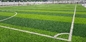 gazon artificiel de faux du football d'herbe de gazon synthétique du football de 65mm fournisseur