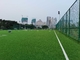 Sports artificiels d'herbe du football professionnel parquetant pour le football fournisseur