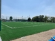 Gazon synthétique de gazon du football d'herbe de la FIFA pour la taille de pile du football 50mm fournisseur