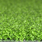 Putting green artificiel extérieur et d'intérieur 10-15mm d'herbe de golf fournisseur