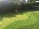 Le gazon synthétique de golf de putting green engazonnent la taille artificielle de Gateball 13m fournisseur