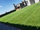 tapis vert extérieur d'herbe de 20-50mm de plancher de pelouse artificielle de Fakegrass fournisseur