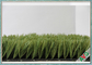 Vert artificiel de champ d'herbe de terrain de football + monofilament vert pomme de PE fournisseur