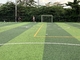 Fausse herbe Diamond Tender Green Colour unique de gazon de terrain de football fournisseur
