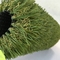 4 en plastique Tone Natural Landscaping Artificial Grass pour la décoration de jardin fournisseur