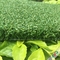 herbe artificielle de golf naturel de taille de pile de 10mm/putting green d'intérieur de golf fournisseur