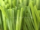 PE de monofilament + surface dodue d'herbe artificielle extérieure bouclée de pp 12400Dtex fournisseur