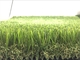21000 herbe artificielle extérieure du diamant 40mm de TRIO de ² de Stitches/M fournisseur