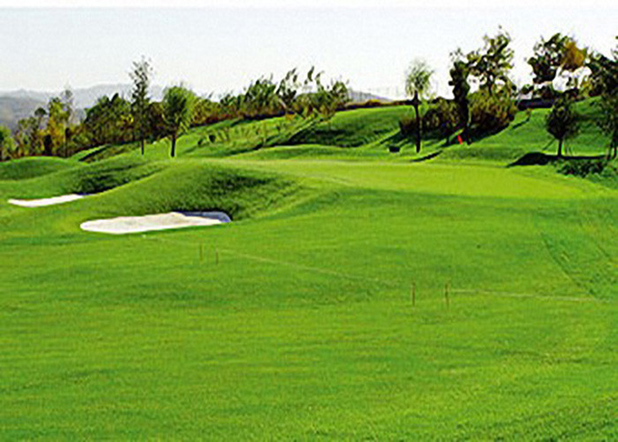 Les sports professionnels jouent au golf la résistance à l'usure élevée de faux gazon artificiel d'herbe 0