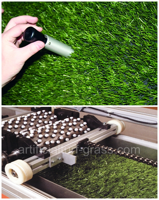 All Victory Grass (Guangzhou) Co., Ltd Contrôle de qualité 0