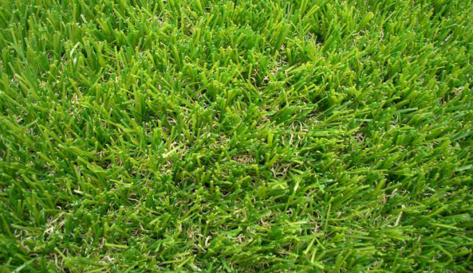 dernières nouvelles de l'entreprise Comparaison entre l'herbe synthétique du football et la vraie herbe  2
