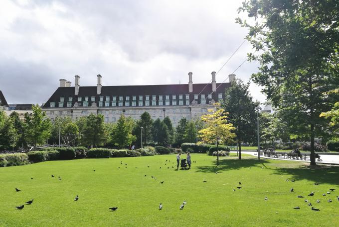 En aménageant l'herbe en parc S formez l'herbe artificielle 40mm pour l'herbe de paysage de jardin 0