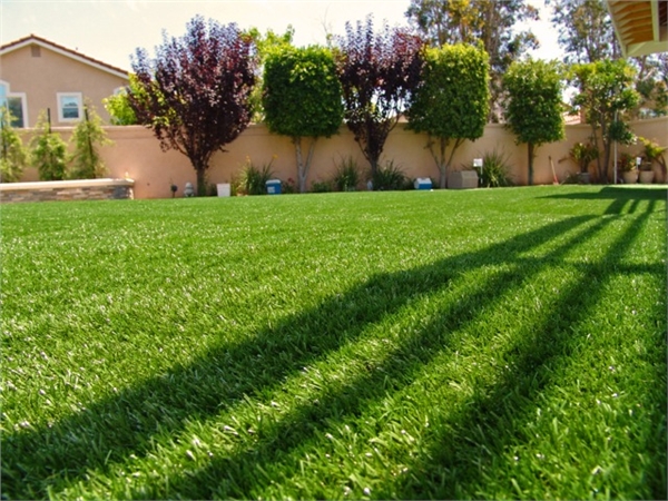 Le jardin engazonnent 25mm que Cesped engazonnent décoratif extérieur de mur artificiel d'herbe 0