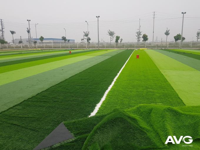 L'herbe artificielle tapissent de faux sports d'herbe parquetant 55mm pour la cour du football 0