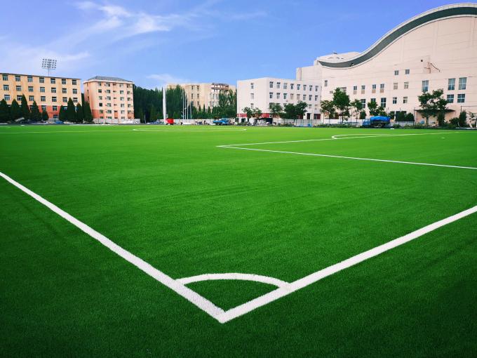 Herbe artificielle d'herbe du football pour le football d'herbe du football du football 0