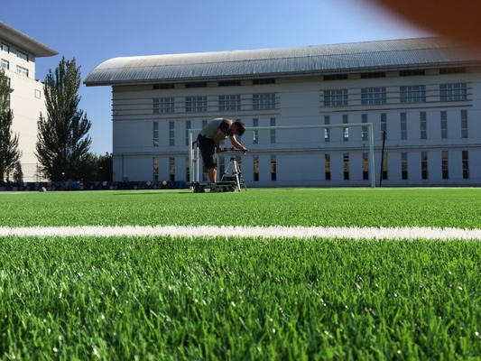 LA CHINE Herbe synthétique 55mm artificiels d'herbe du football de gazon de gazon à haute densité du football fournisseur