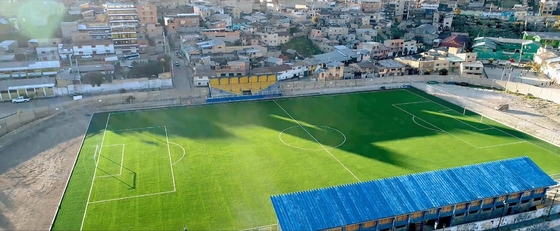 LA CHINE Structure artificielle de monofilament d'herbe du football de taille réaliste du regard 60mm fournisseur