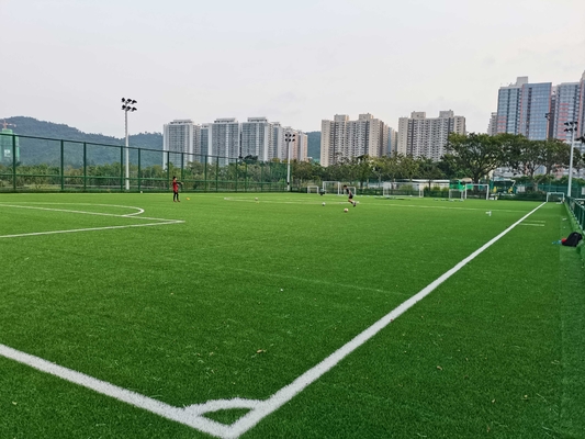 LA CHINE Gazon artificiel du football d'herbe de Cesped de profession avec le prix usine 55mm fournisseur