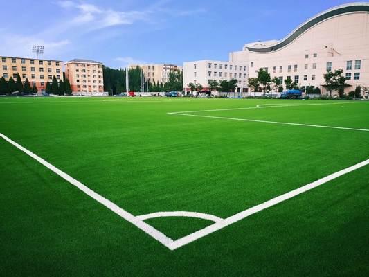 LA CHINE Herbe artificielle d'herbe du football pour le football d'herbe du football du football fournisseur