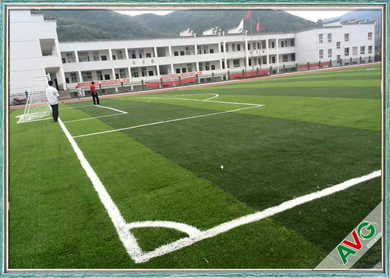 LA CHINE Eau-économie artificielle de Dtex du gazon 12000 de terrain de football multifonctionnel standard de la FIFA fournisseur