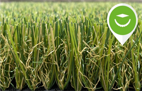 LA CHINE Gazon faux de aménagement sain d'herbe artificielle extérieure bouclée de monofil fournisseur