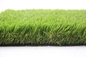 Herbe artificielle incurvée de jardin de fil 60mm pour le gazon de prairies fournisseur