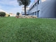 tissu artificiel de l'herbe pp de jardin de 60mm plus la conservation nette renforcée de l'eau fournisseur