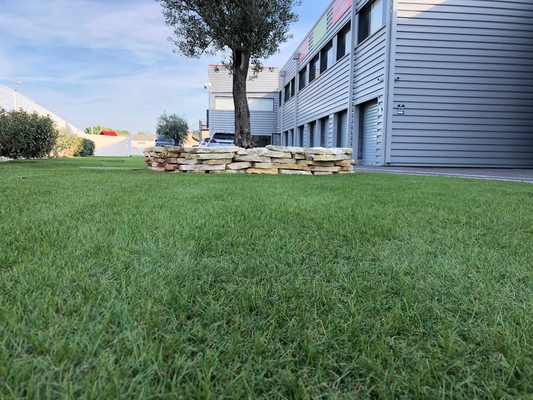 En aménageant le gazon en parc 25mm C formez l'herbe artificielle pour l'herbe de paysage de jardin fournisseur