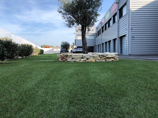 Les prix artificiels de gazon font du jardinage aménageant l'herbe en parc de tapis naturelle de jardin de 30MM fournisseur