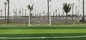 gazon artificiel de gazon de profession de 60mm d'herbe du football artificiel synthétique de Cesped pour le plancher de sport fournisseur