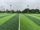 Le football de gazon de la FIFA engazonnent le football artificiel d'herbe de gazon du football de 40mm fournisseur