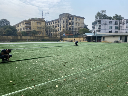 Herbe du football de la composition 50mm en PE fausse pour d'intérieur extérieur fournisseur