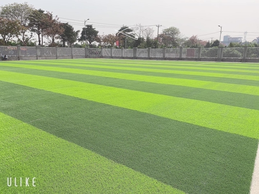 Taille artificielle Diamond Reinforced unique du gazon 55m du football vert tendre fournisseur