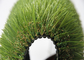 Vrai revêtement extérieur de regard professionnel de latex de tapis d'herbe artificielle de 30MM fournisseur