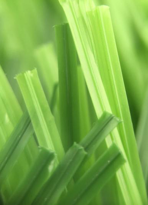 Herbe artificielle de gazon de sports de l'herbe 55mm du football d'herbe du football fournisseur
