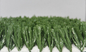 Revêtement faux de latex de pelouses d'herbe de gazon artificiel du football de la taille 50MM de pile fournisseur