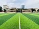 sports artificiels d'herbe de 55mm parquetant pour l'au sol de football du football fournisseur