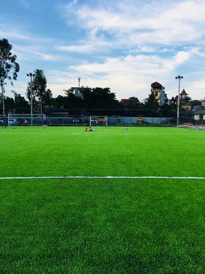 Herbe artificielle du football de gazon de base-ball d'herbe pour l'au sol du football fournisseur