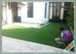 Diamond Shaped Fire Resistant Flooring aménageant l'herbe en parc artificielle de pelouse extérieure fournisseur