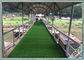 Gazon synthétique greening urbain durable pour les pelouses artificielles avec le prix bon marché fournisseur